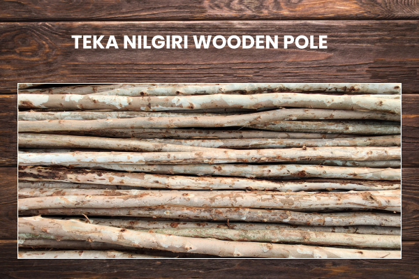 TEKA